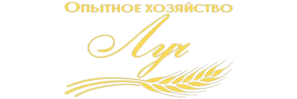 Логотип партнёра Луч
